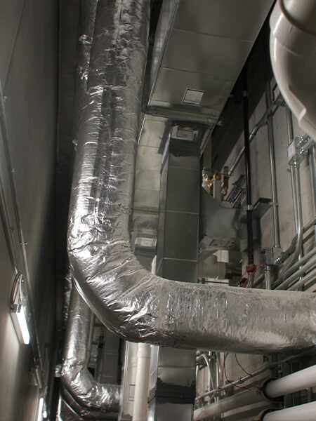 Government and Public Safety