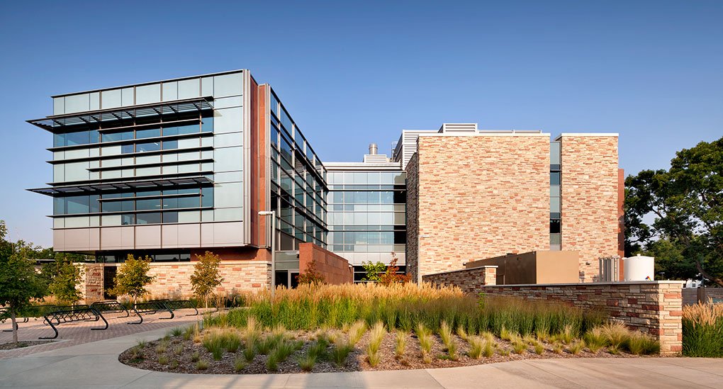 A modern building with large glass windows and tan stone walls, surrounded by landscaped grass and trees, under a clear blue sky. Bike racks and a curved walkway are visible in the foreground.