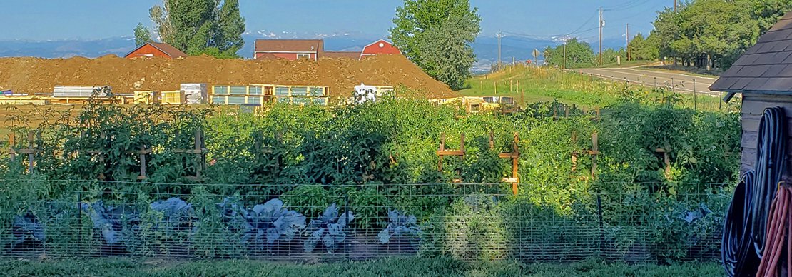 Josh Seiler and Family Prepare for Another Season of Community Gardening